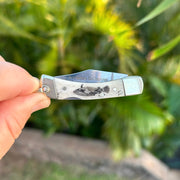 Derek Fine Scrimshaw Humuhumunukunukuapua'a Keychain Knife