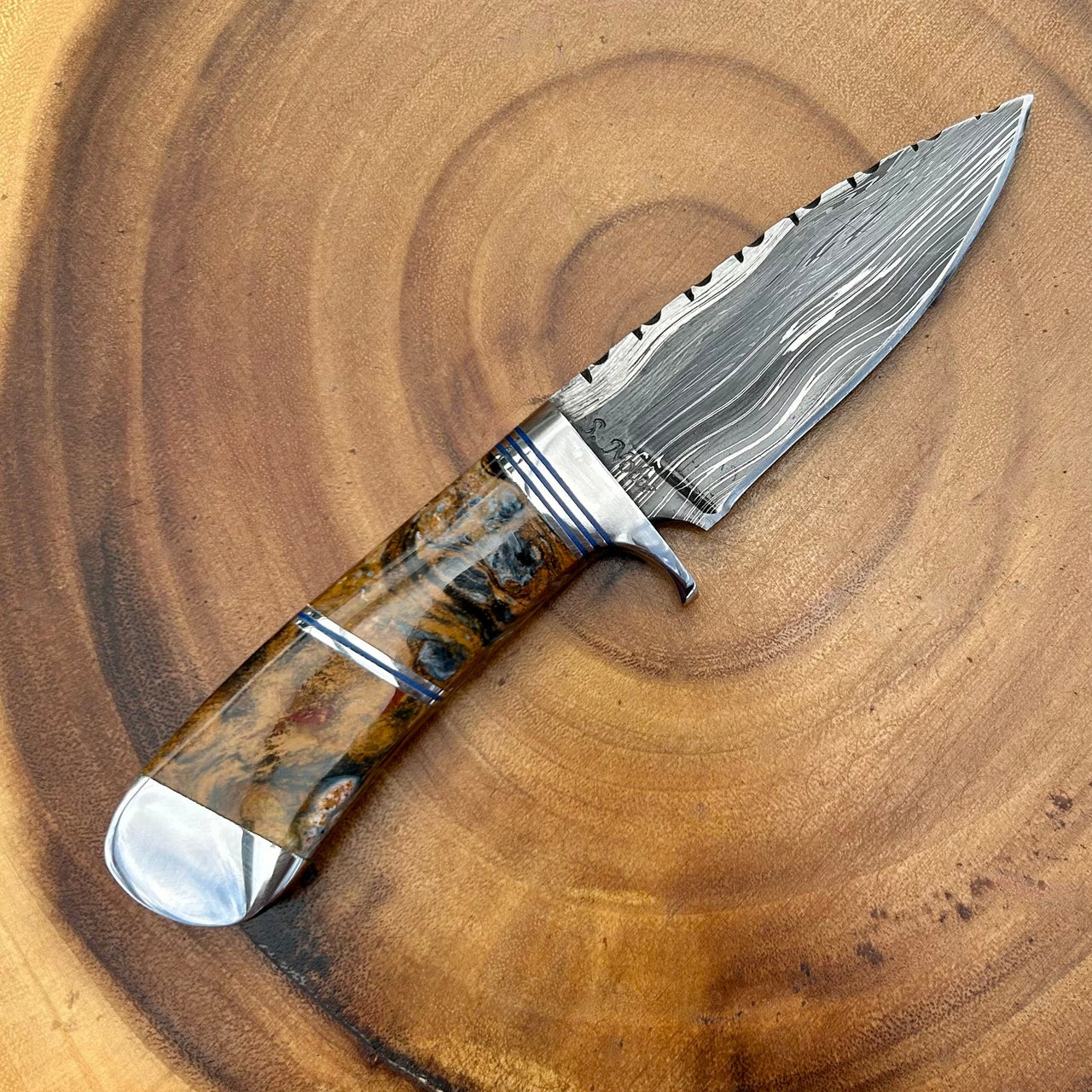 Exclusive Steve Nolte Knife with Larry Donnelly Damascus Steel- Pietersite