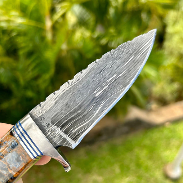 Exclusive Steve Nolte Knife with Larry Donnelly Damascus Steel- Pietersite