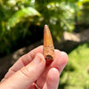 Spinosaurus Fossil Tooth- A