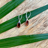 Baltic Amber Drop Earrings- BAER14