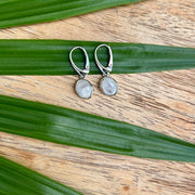 Moonstone Drop Earrings set in sterling silver