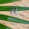 Moonstone Drop Earrings set in sterling silver