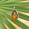 Honey Baltic Amber Pendant with Feather Accent