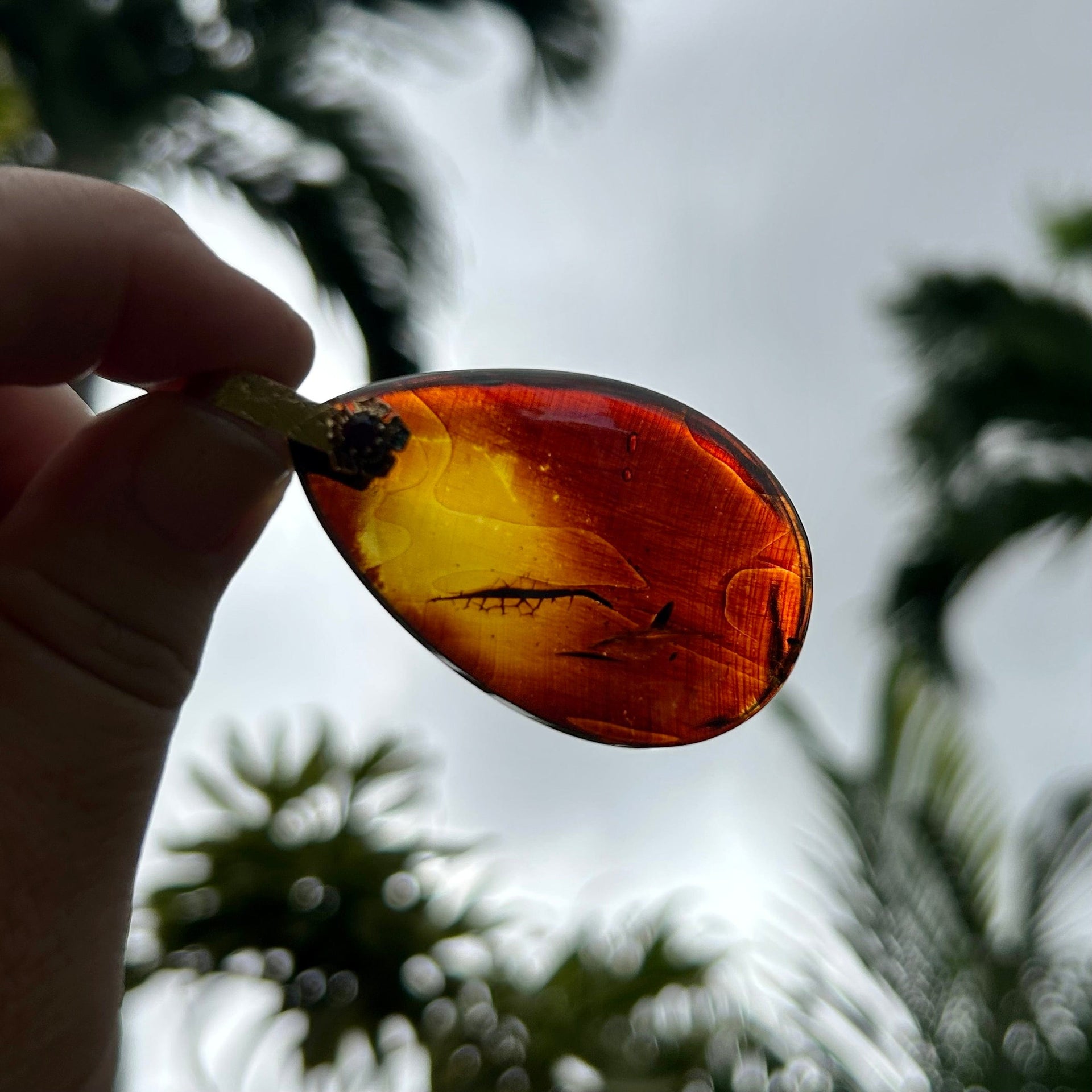 Transparent Baltic Amber Teardrop Pendant with Garnet Detail