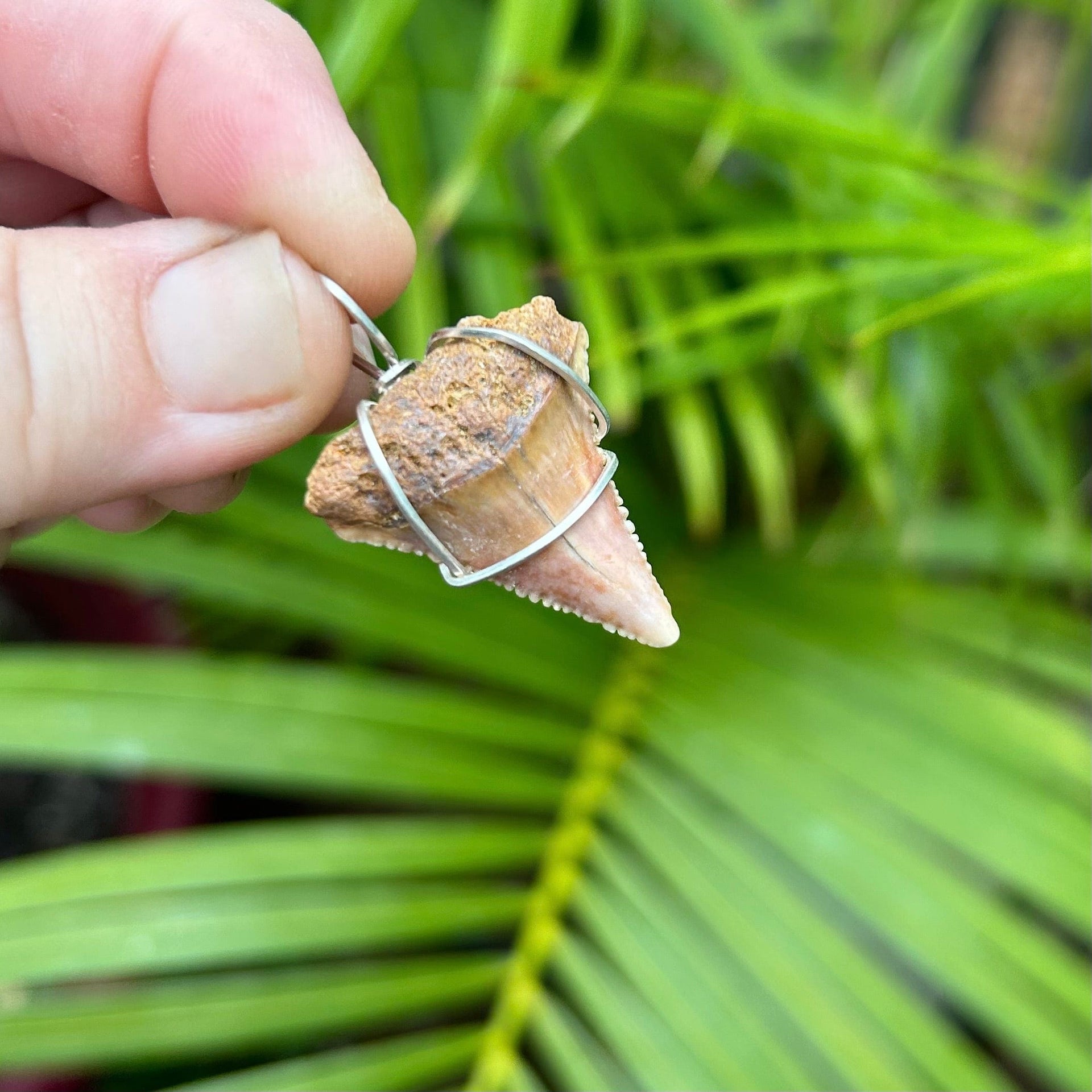 Fossil Great White Tooth Pendant in Dark Sandy Brown