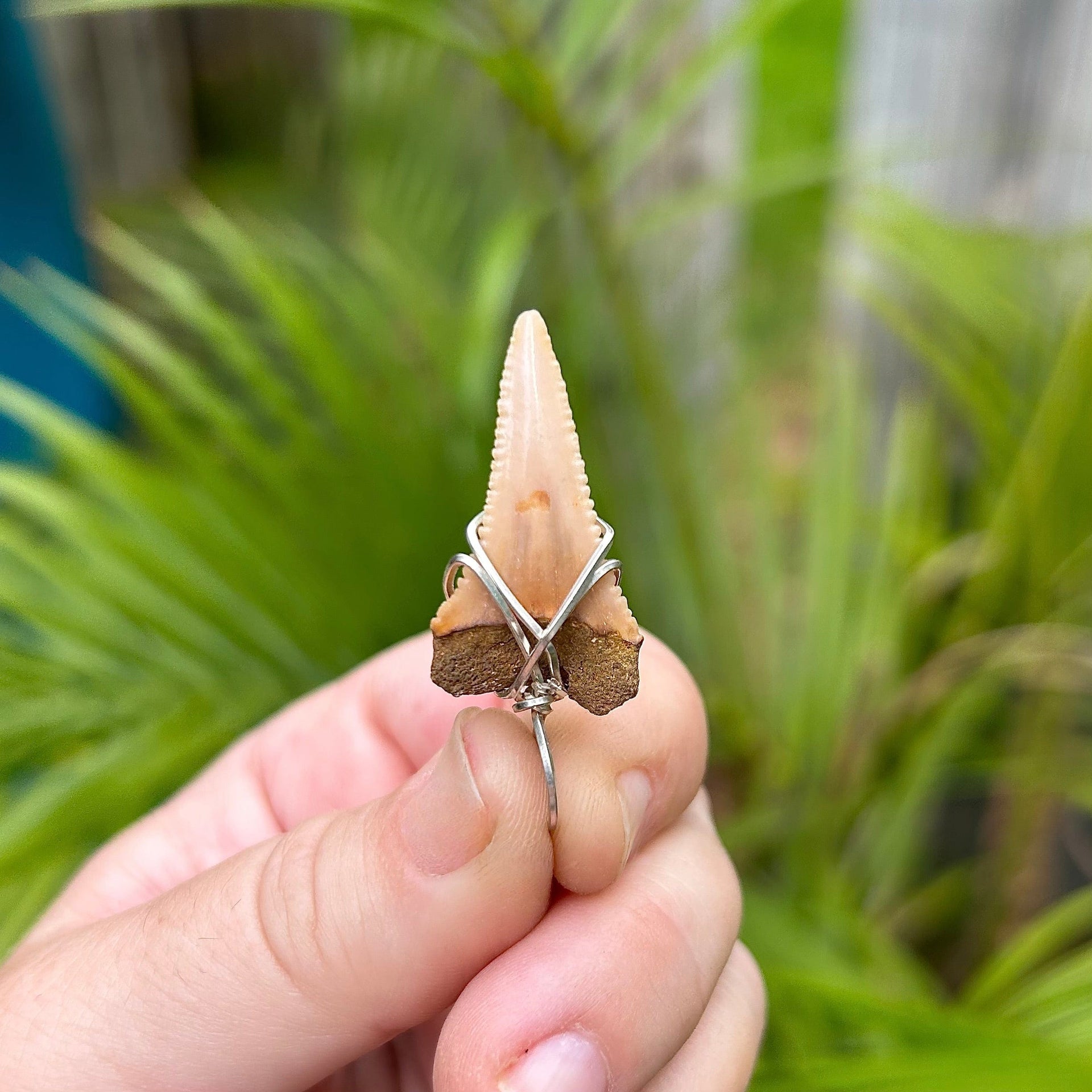 Back of Great White Shark Tooth Pendant