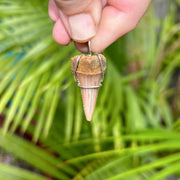 Hand Holding Great White Shark Tooth Pendant