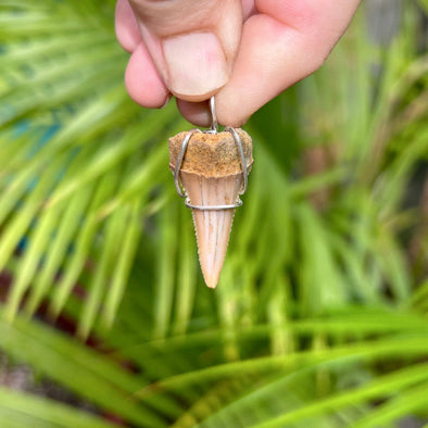 Hand Holding Great White Shark Tooth Pendant