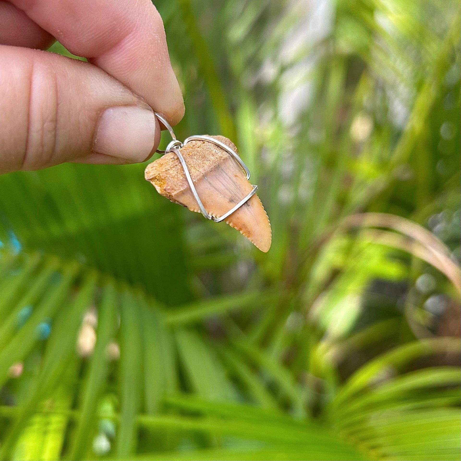 Sandy Brown Fossil Great White Tooth Pendant