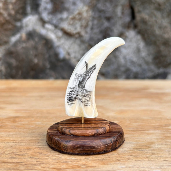 Humpback Whale Scrimshaw Art by Ray Peters