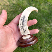 Humpback Mother and Calf Scrimshaw Art on Warthog Tusk