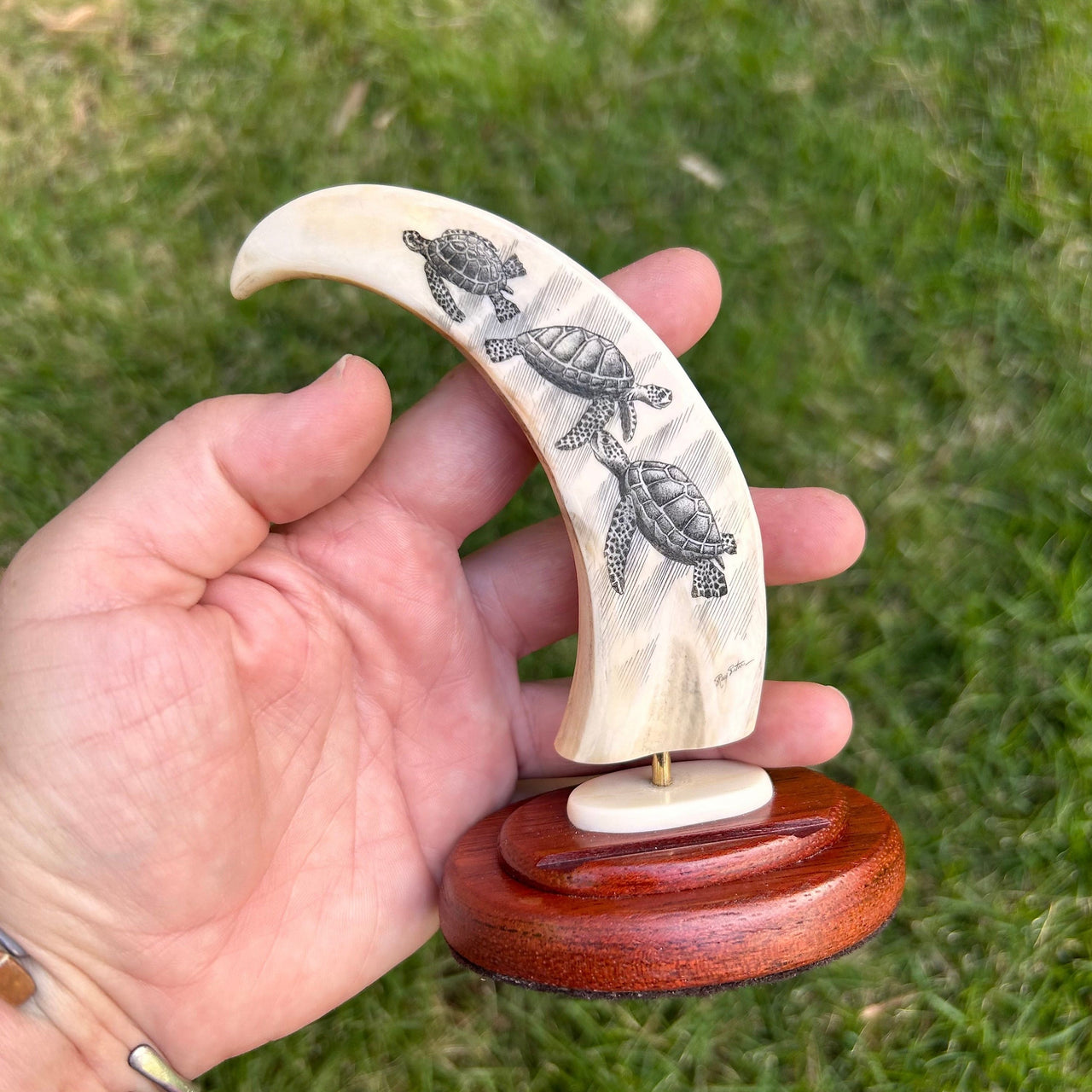 Trio of Hawaiian Sea Turtles Scrimshaw by Ray Peters