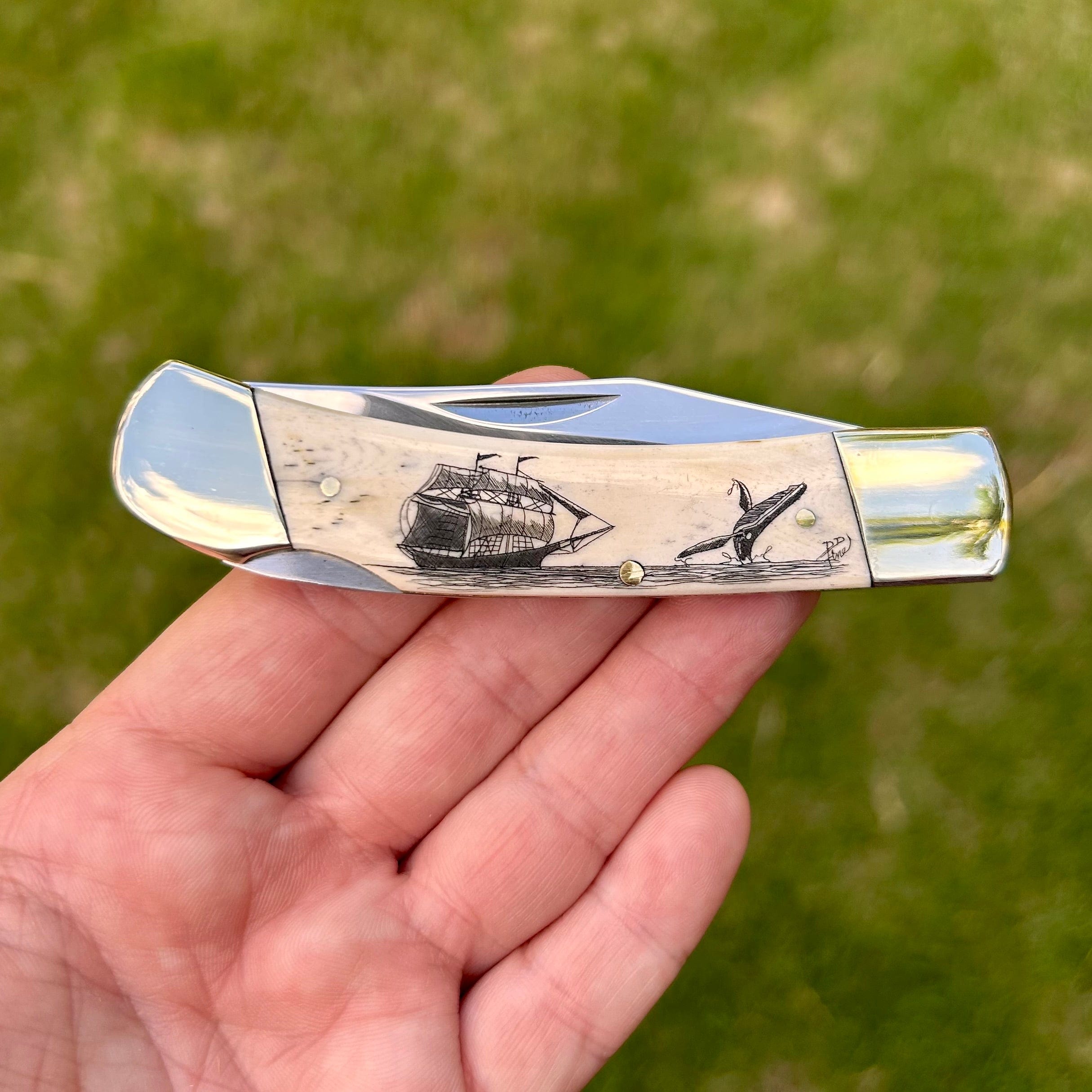 David Fine Scrimshaw Lock Back Knife | Whaler's Locker