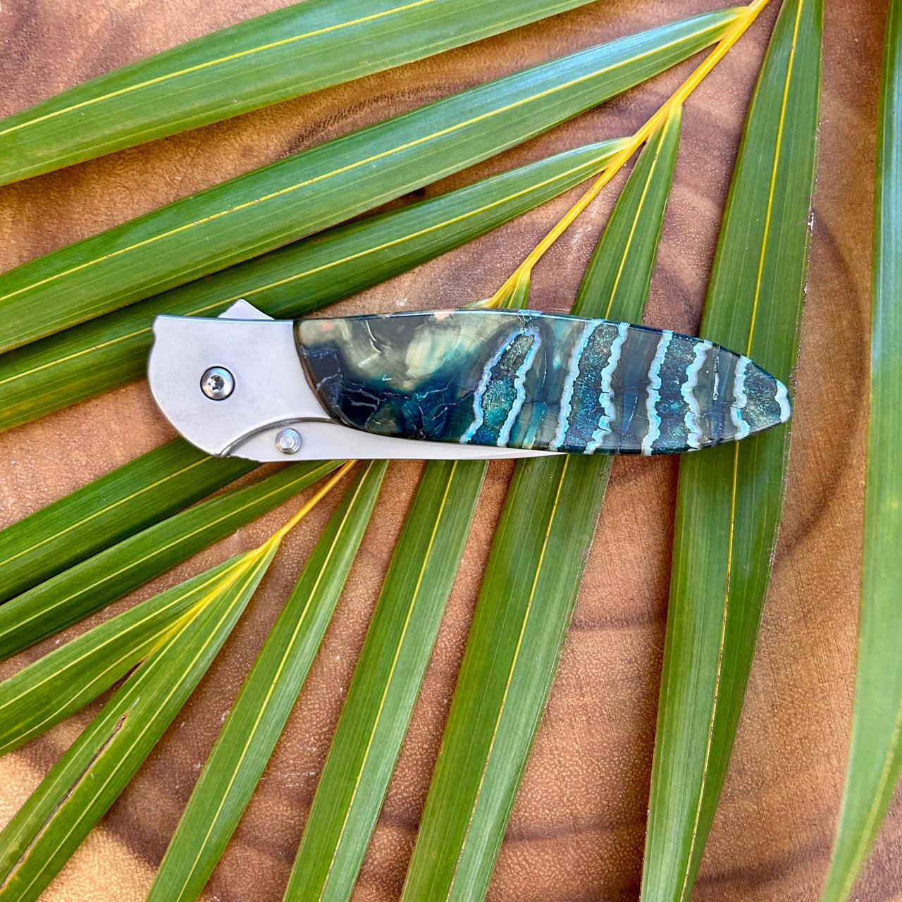 Kershaw Leek Pocket Knife- Fossilized Mammoth Tooth Scale- A