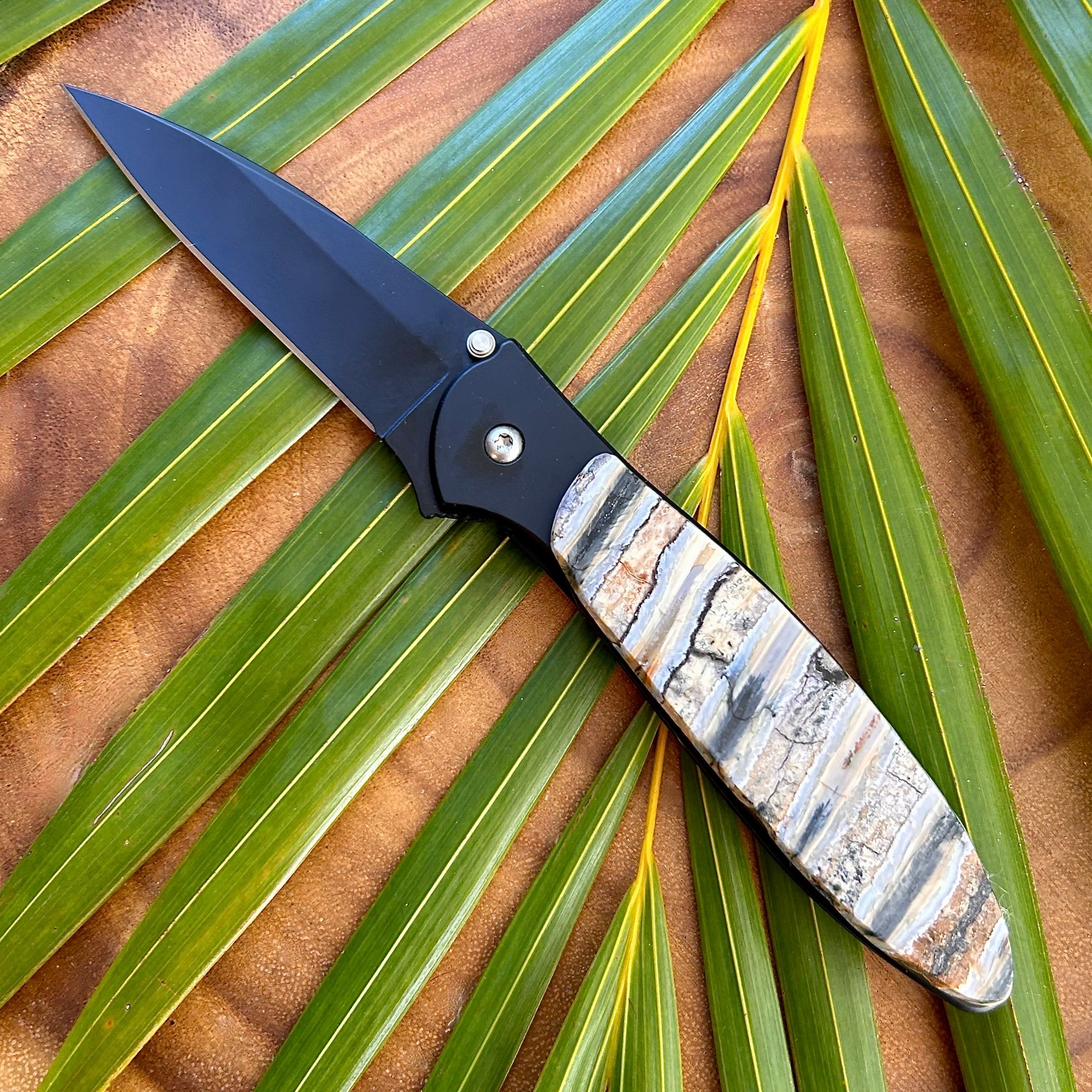 Kershaw Leek Pocket Knife- Fossilized Mammoth Tooth Scale- B