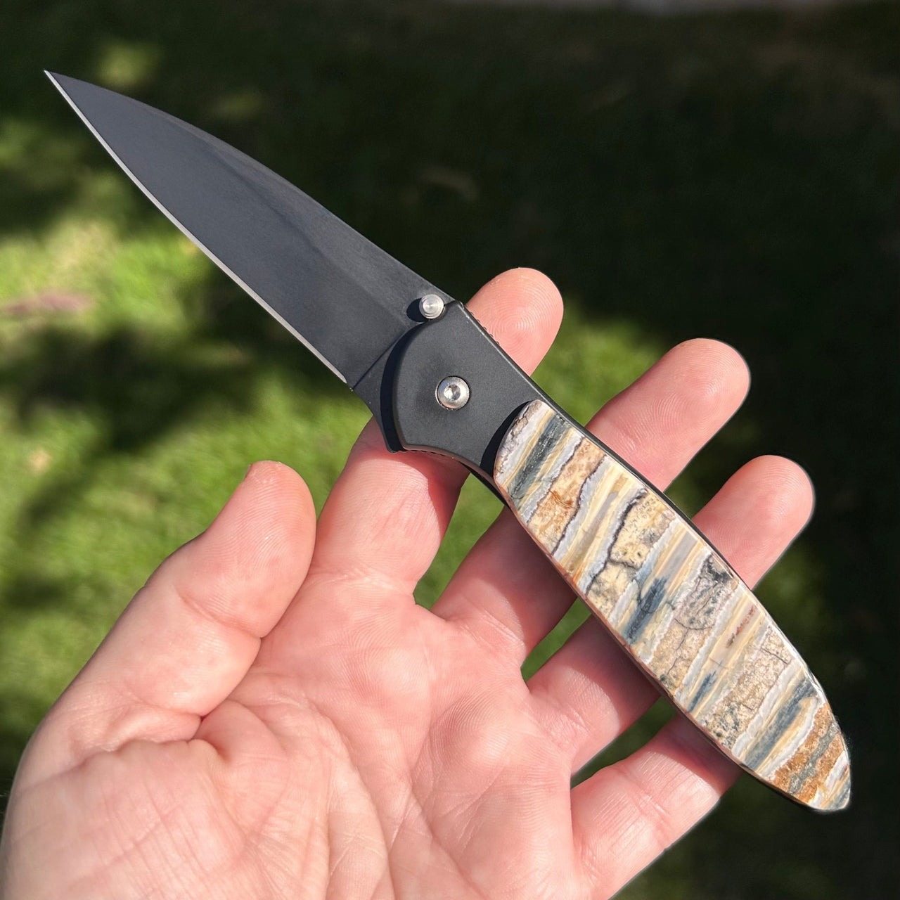 Kershaw Leek Pocket Knife- Fossilized Mammoth Tooth Scale- B