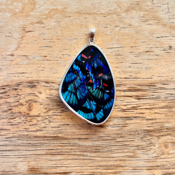 XX Large Butterfly Wing Pendant