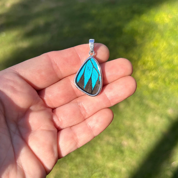 Small Butterfly Wing Pendant