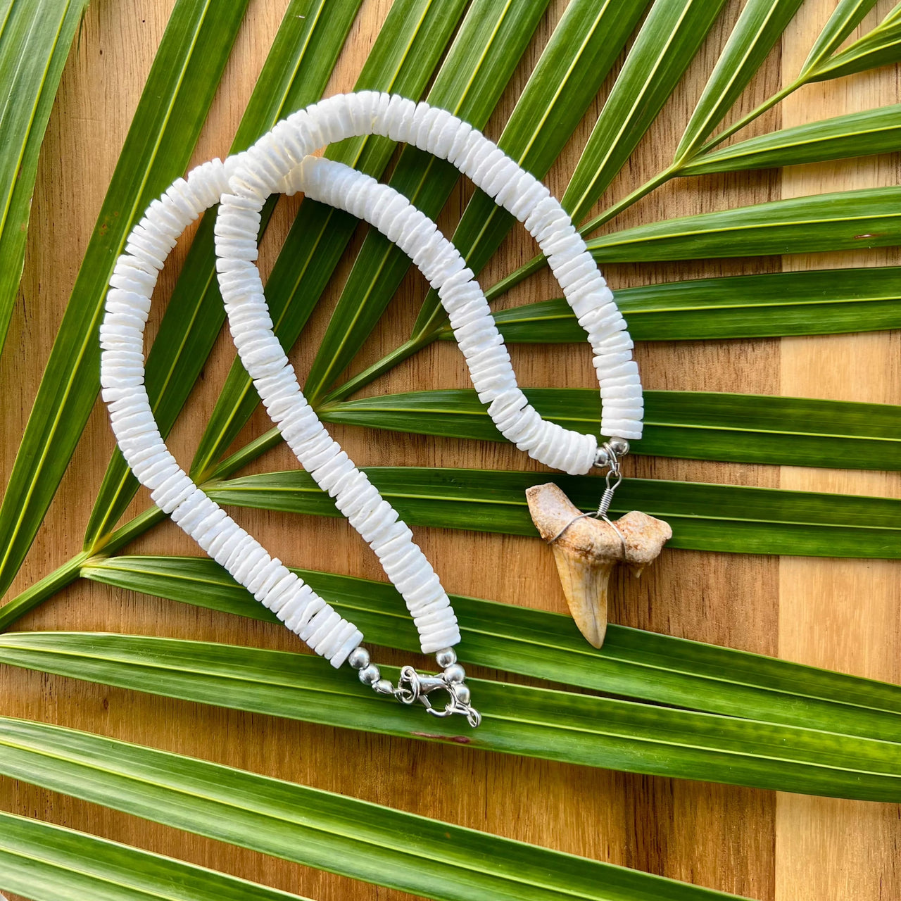 White Shell Bead Necklace with Fossil Shark Tooth