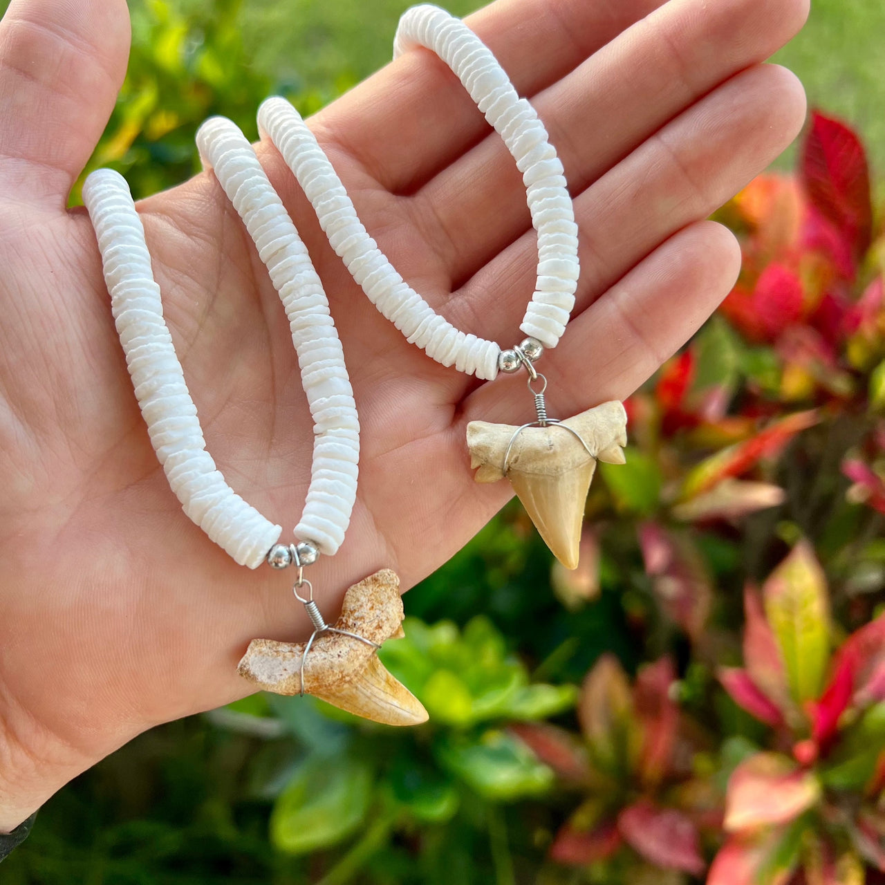 White Shell Bead Necklace with Fossil Shark Tooth