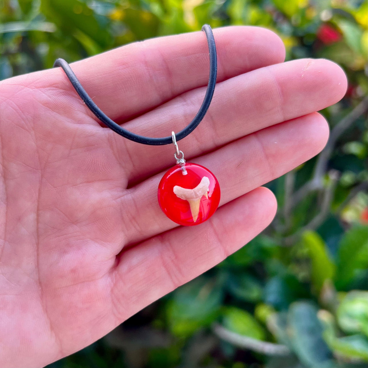 Shark Tooth in Acrylic Necklace