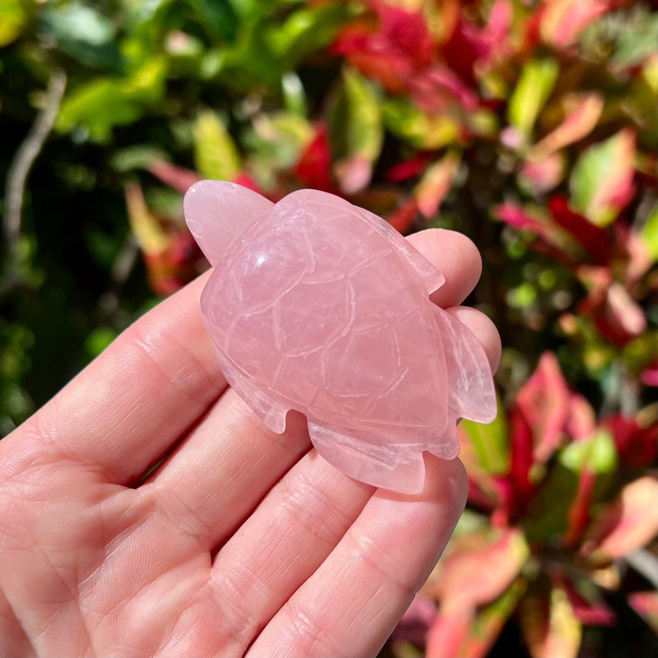 2.5" Hand Carved Rose Quartz Sea Turtle