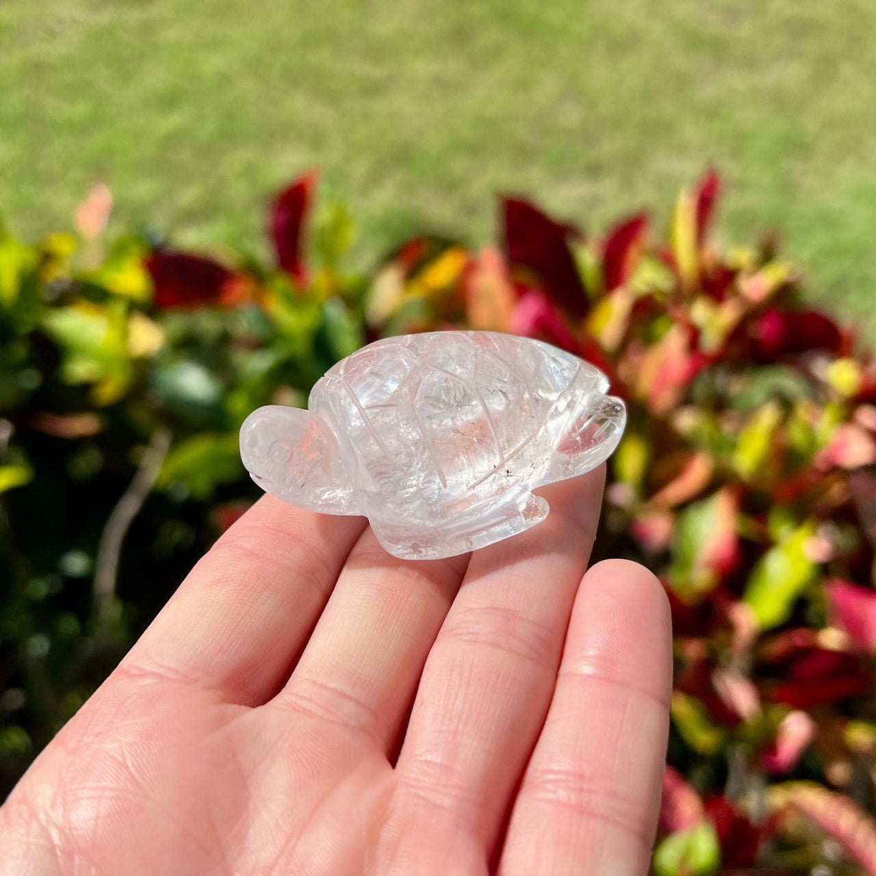 2.5" Hand Carved Clear Quartz Sea Turtle