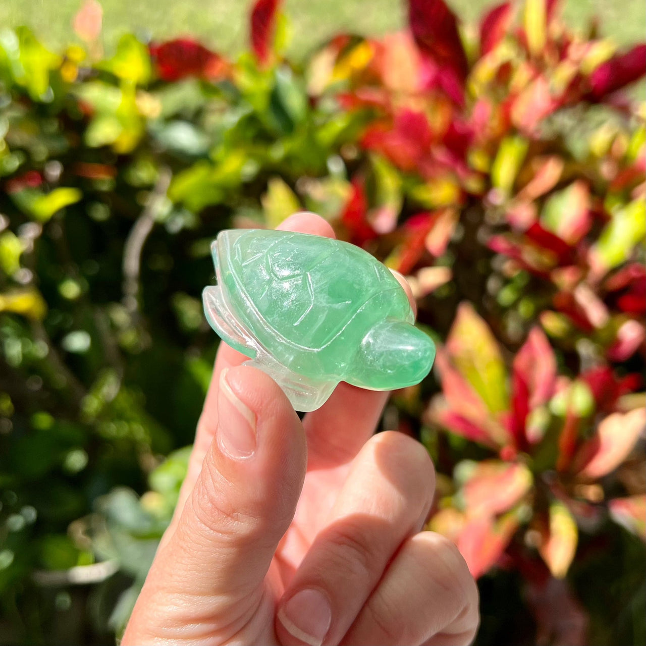 2.5" Hand Carved Green Fluorite Sea Turtle