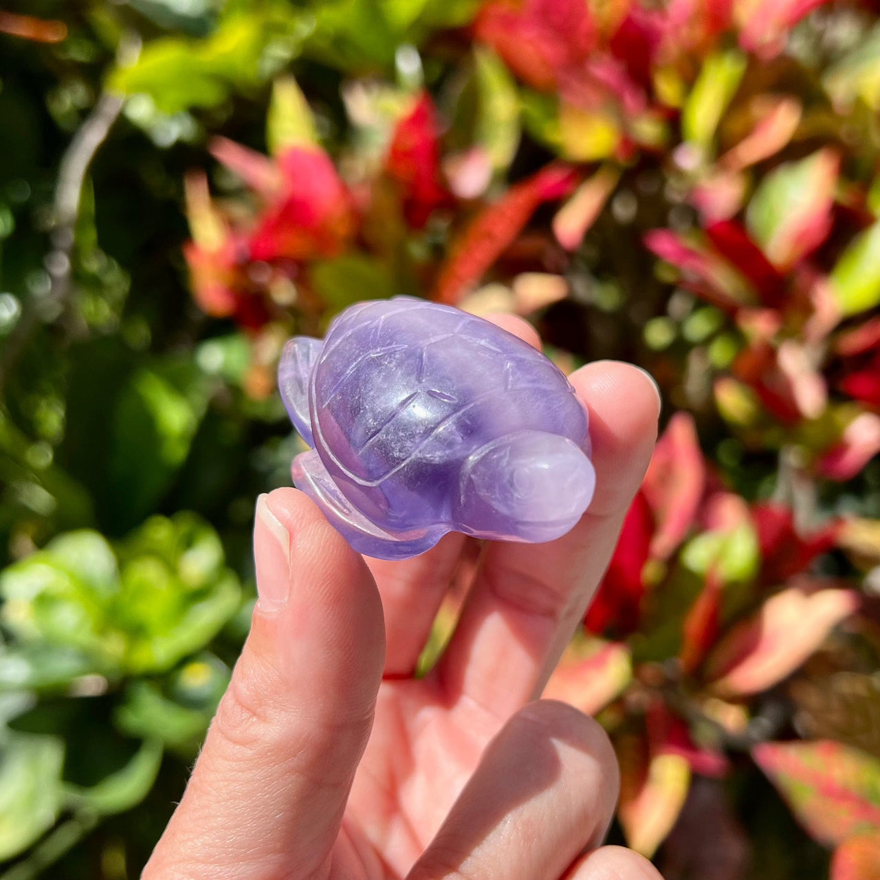 2.5" Hand Carved Purple Fluorite Sea Turtle