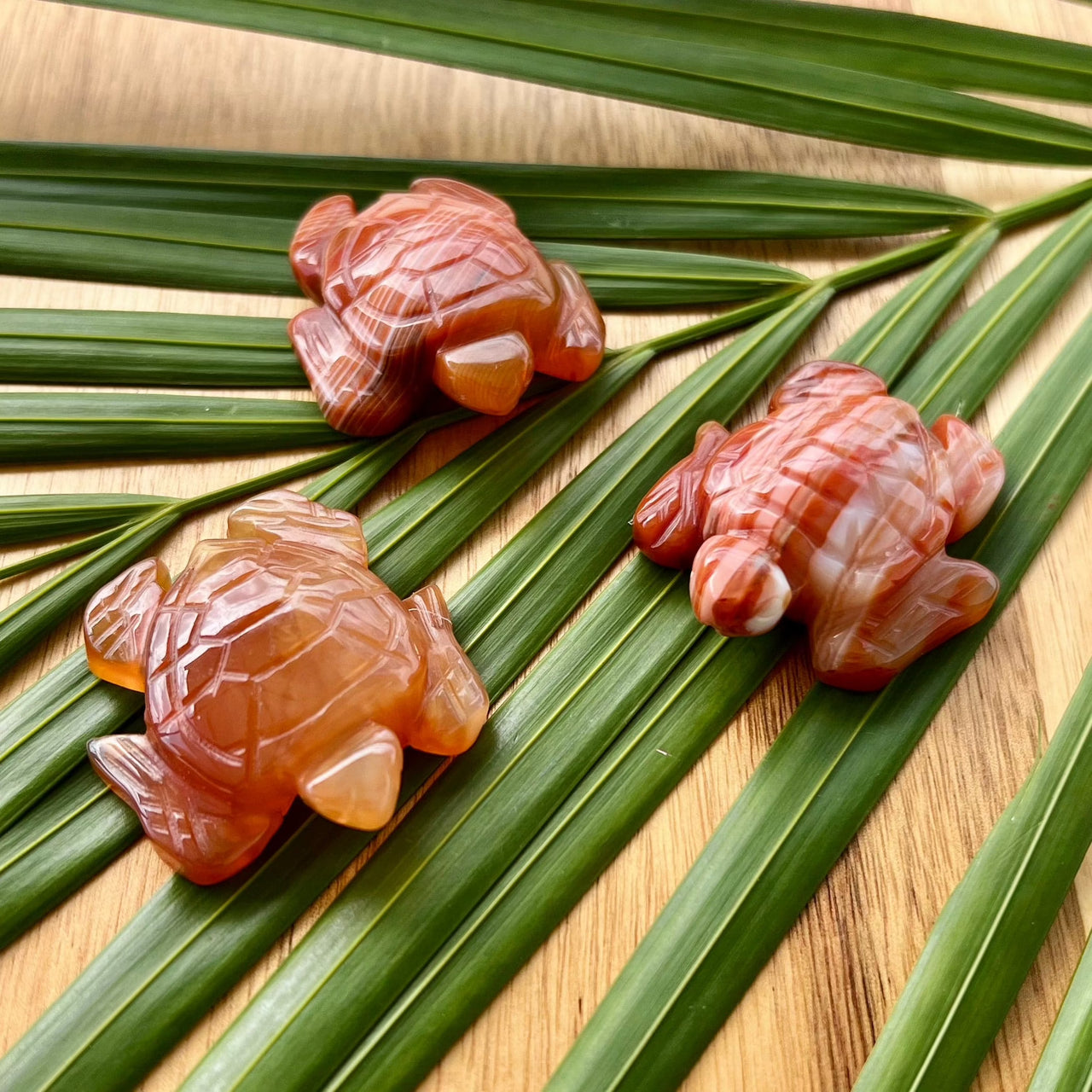 Hand Carved Carnelian Sea Turtles - 1.5"