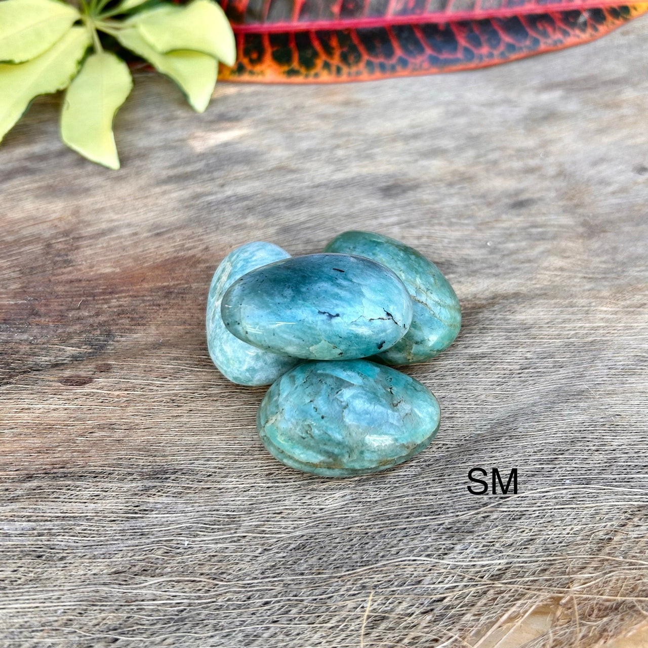 Amazonite Polished Palm Stones