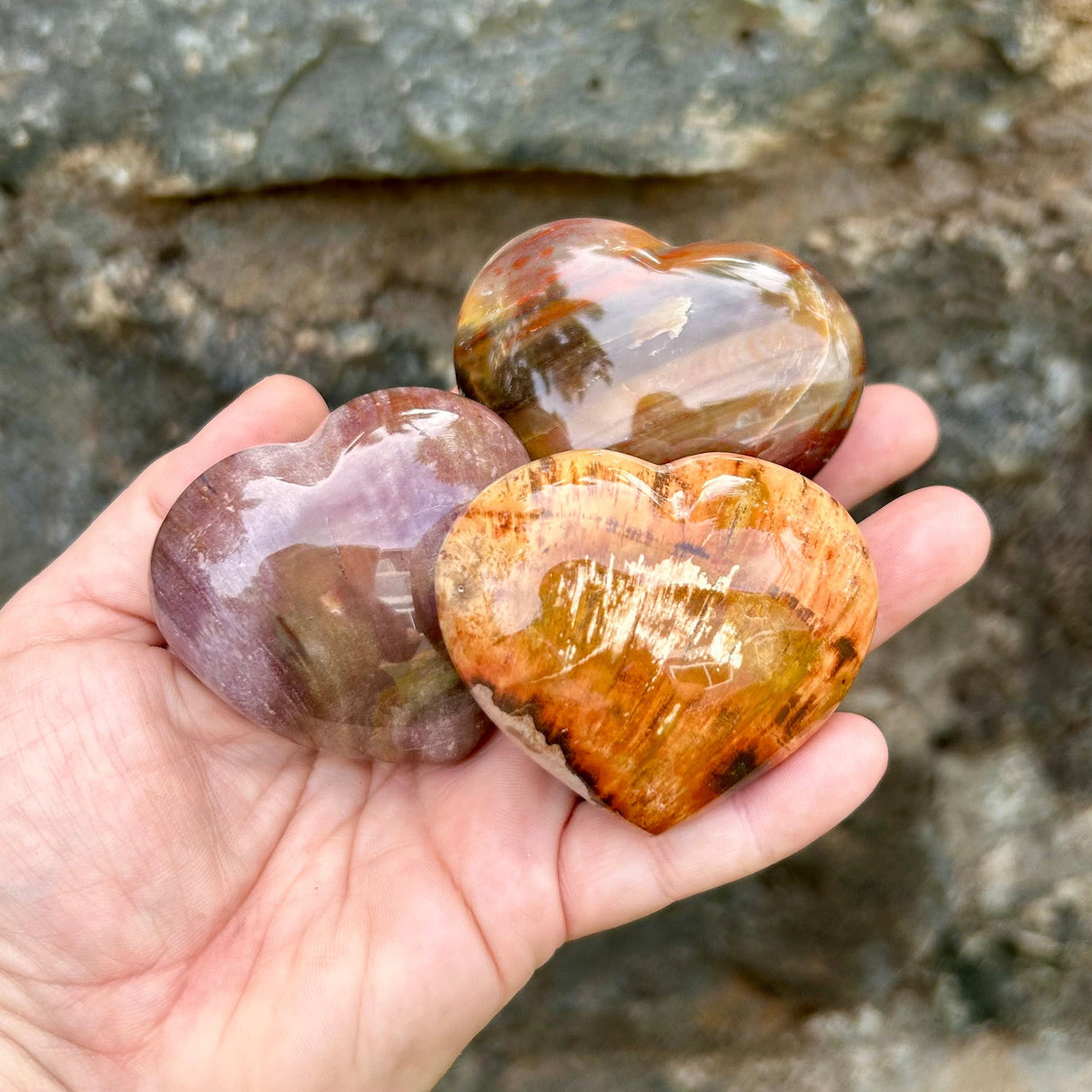 Petrified Wood Heart