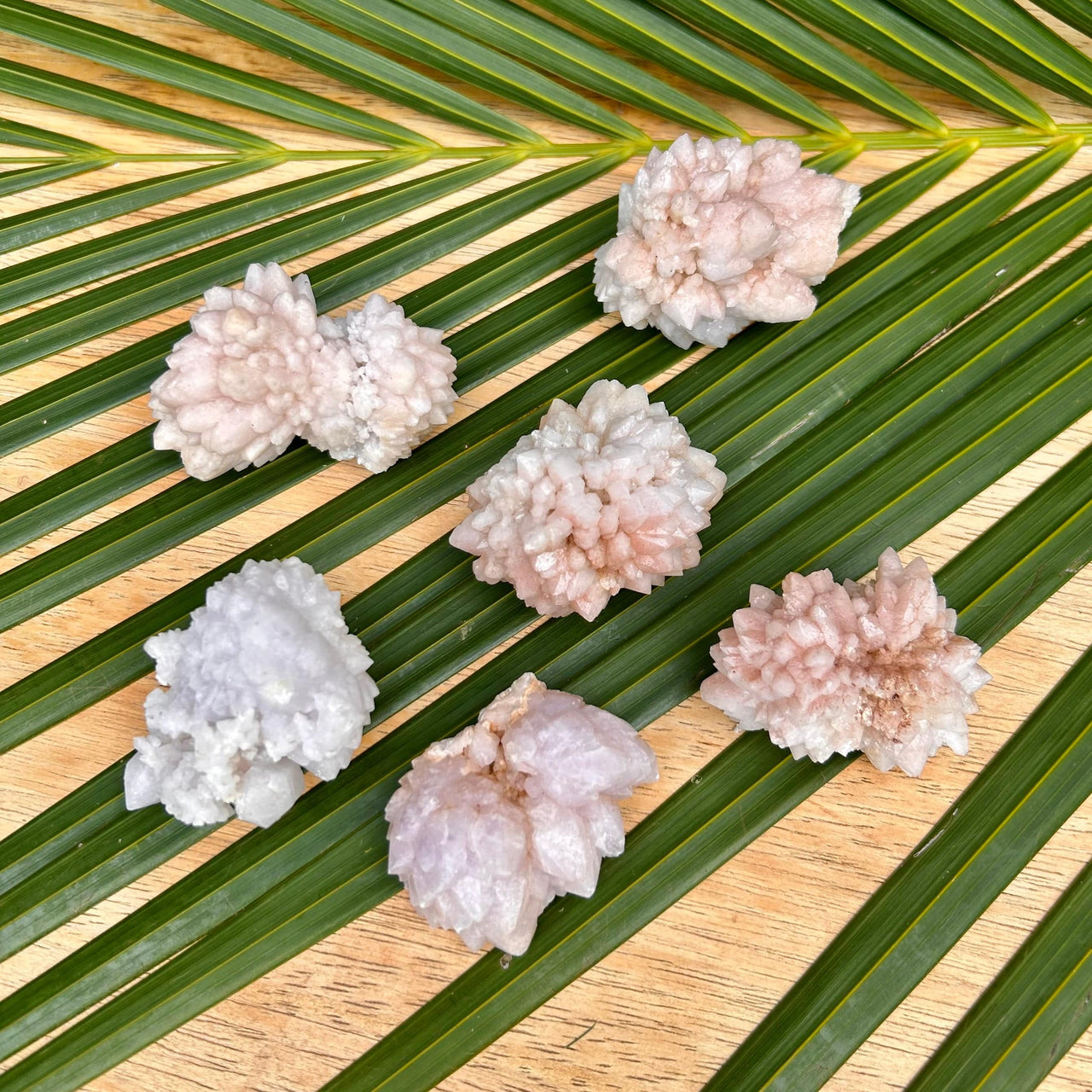 Pink Chrysanthemum Stone Cluster