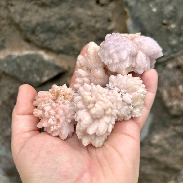 Pink Chrysanthemum Stone Cluster