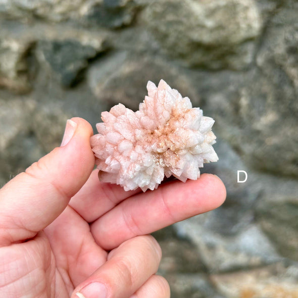 Pink Chrysanthemum Stone Cluster