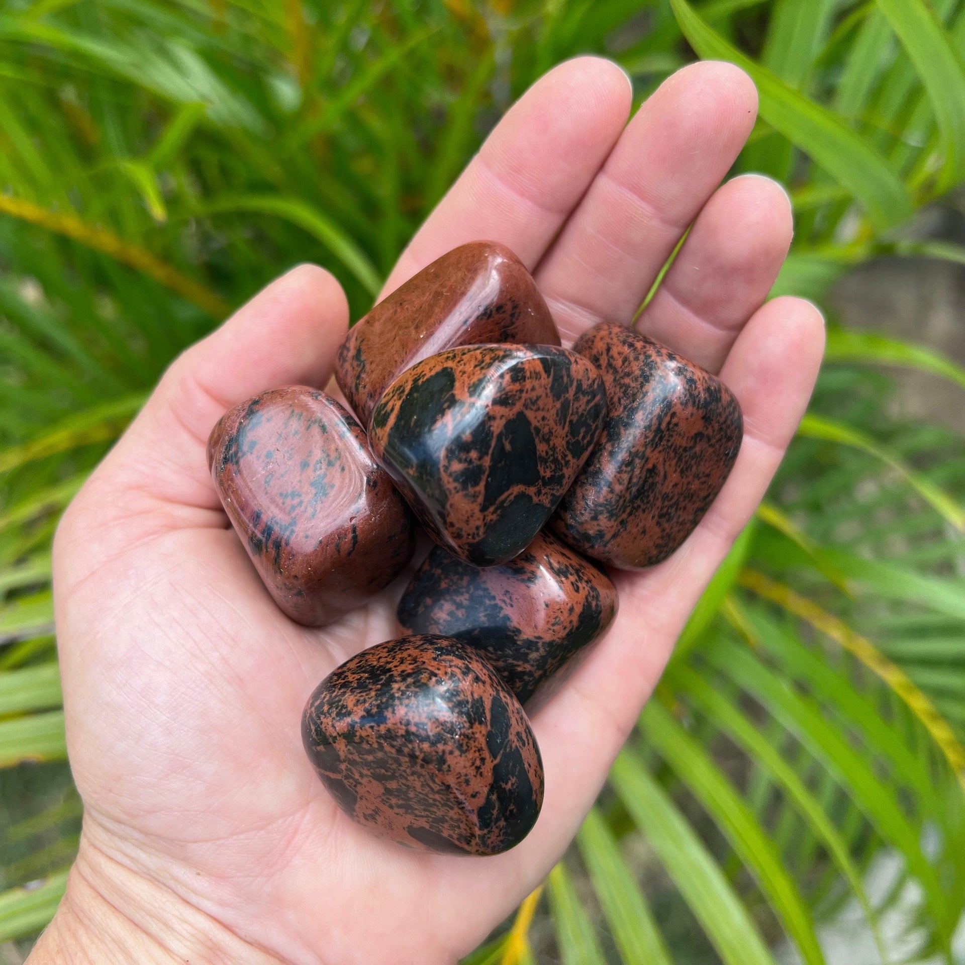 Mahogony Obsidian Pebbles