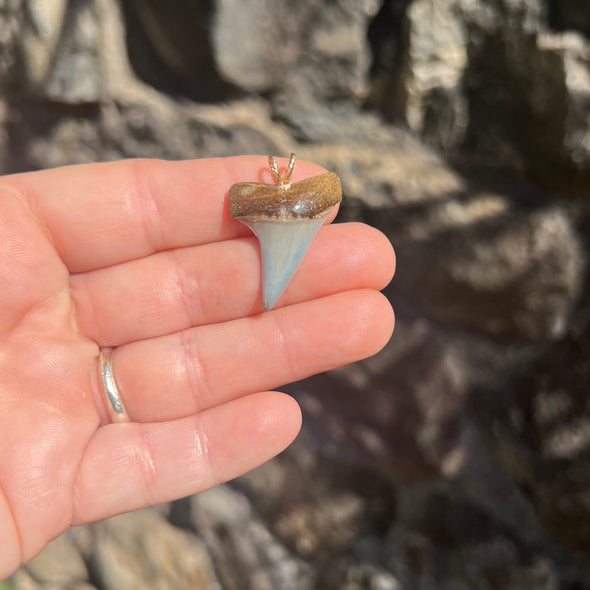 Shapely Fossil Mako Tooth Pendant- STFP22