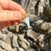 Shapely Fossil Mako Tooth Pendant- STFP22