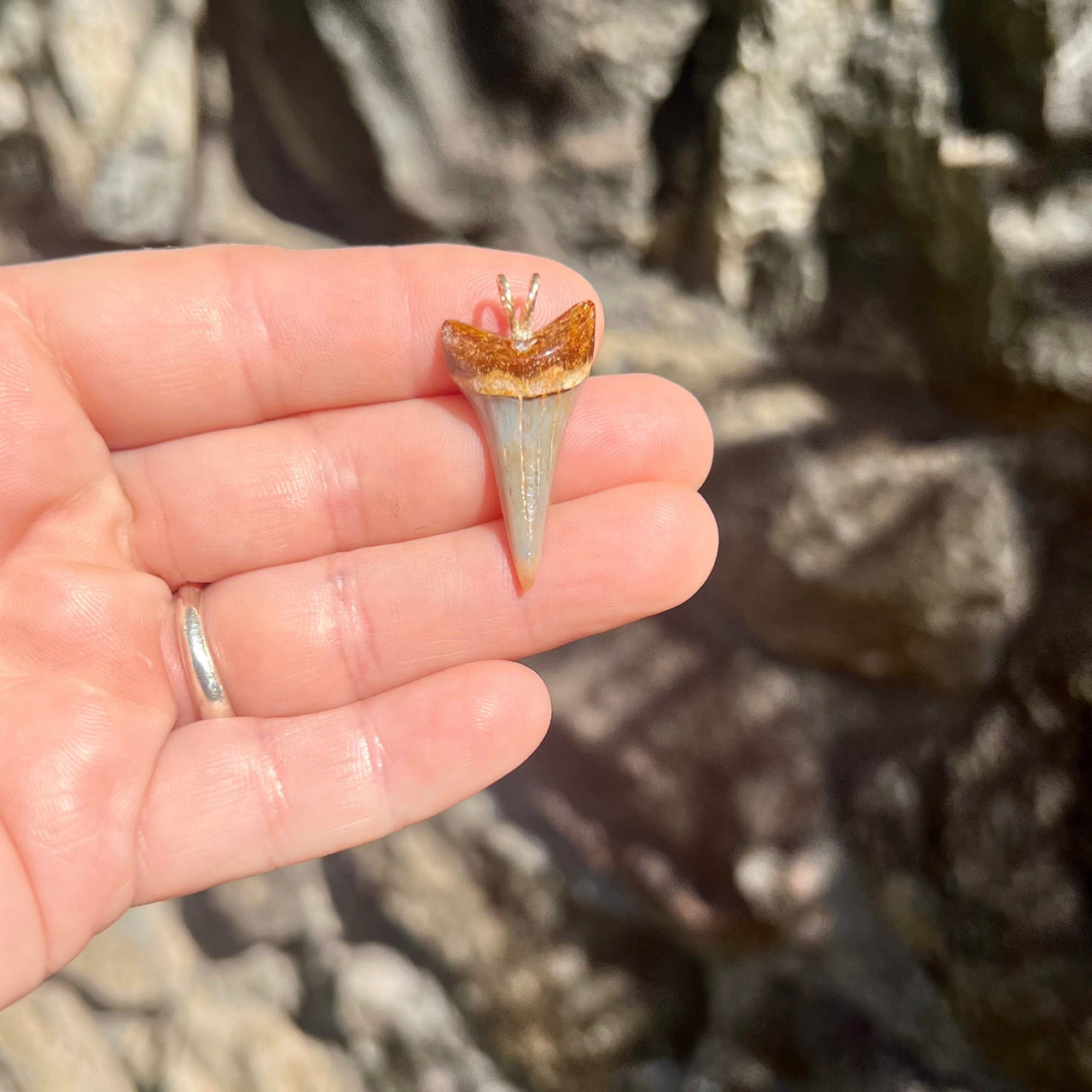 Fossil Mako Tooth Pendant- STFP39