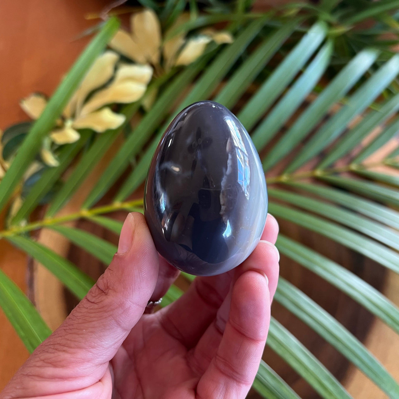 Dark Gray Banded Agate Egg