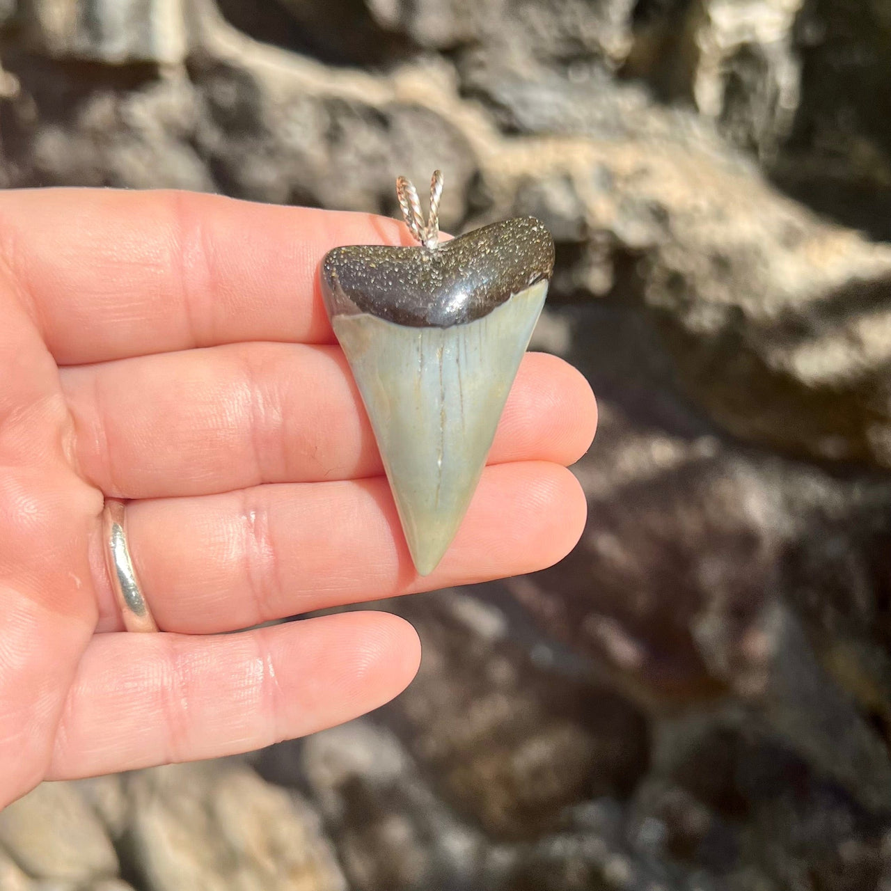 Fossil Mako Tooth Pendant- STFP29