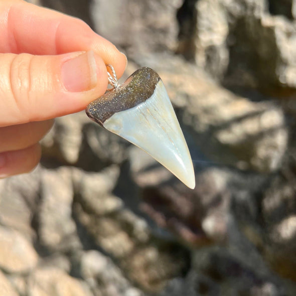 Fossil Mako Tooth Pendant- STFP29