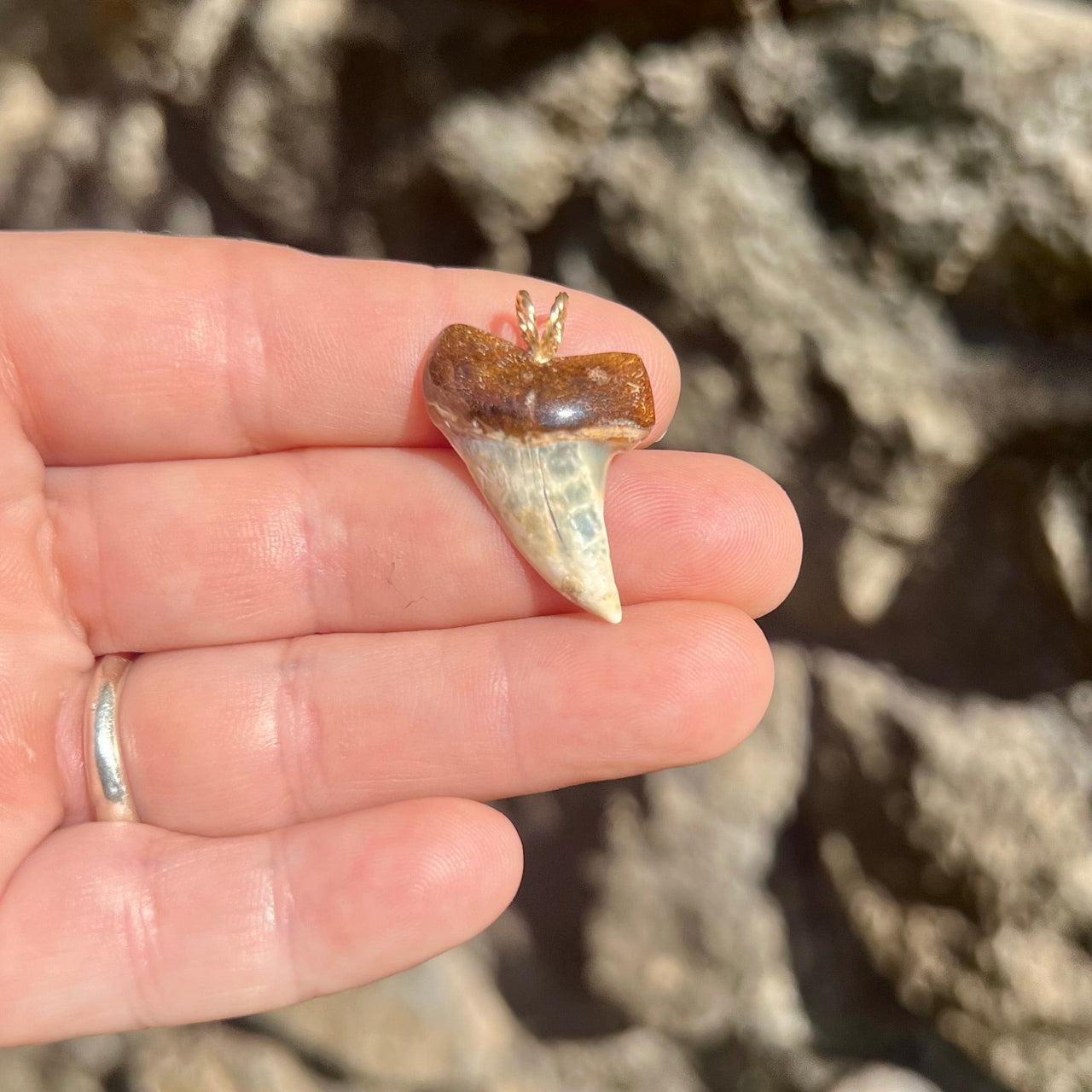 Captivating Fossil Mako Tooth Pendant- STFP20