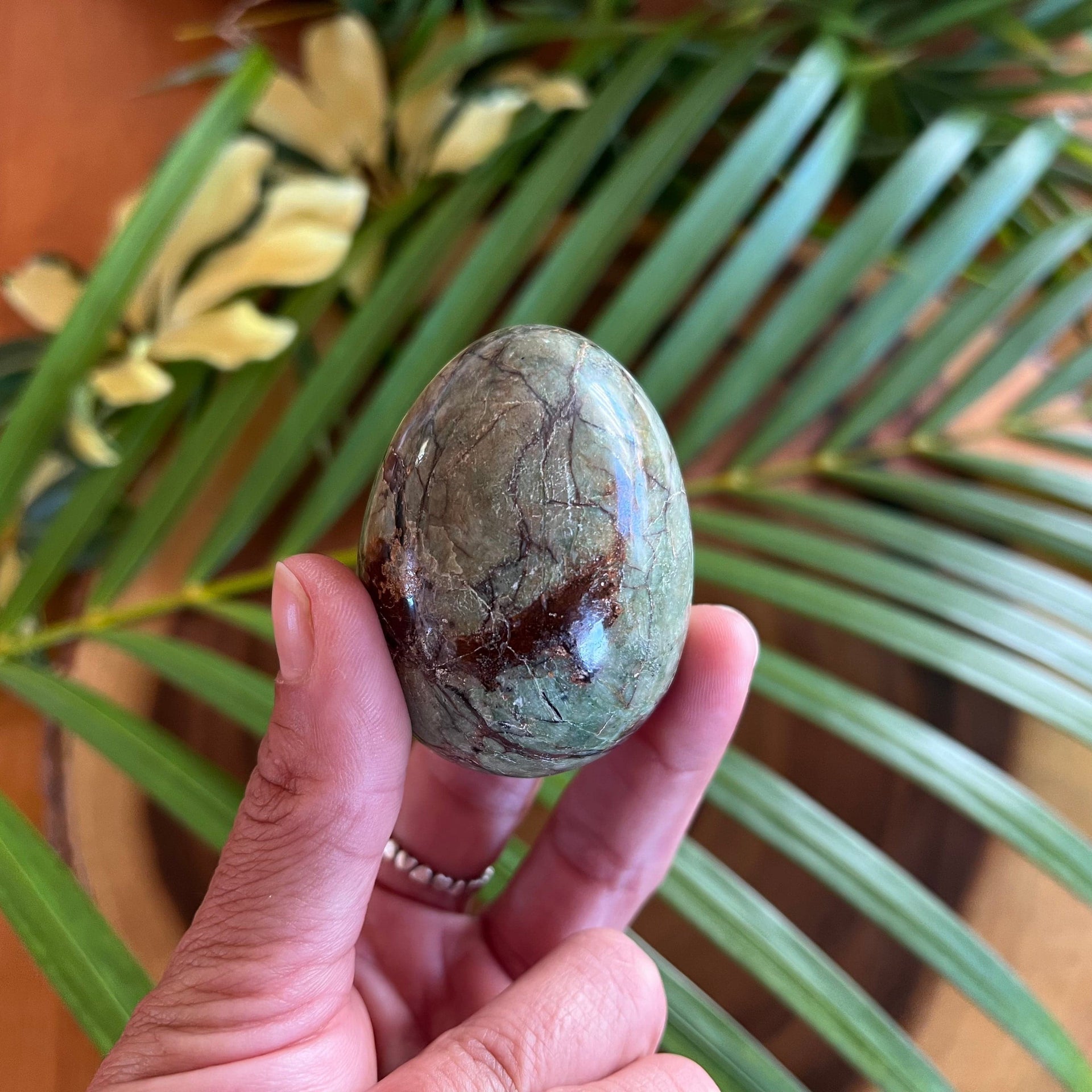 Chrysoprase Egg Healing Crystal