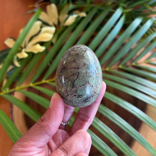 Healing Chrysoprase Egg
