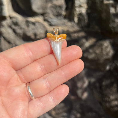 Fossil Mako Tooth Pendant- STFP18