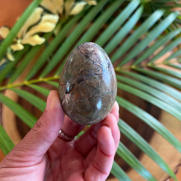 Hand Holding Chrysoprase Egg Healing Stone