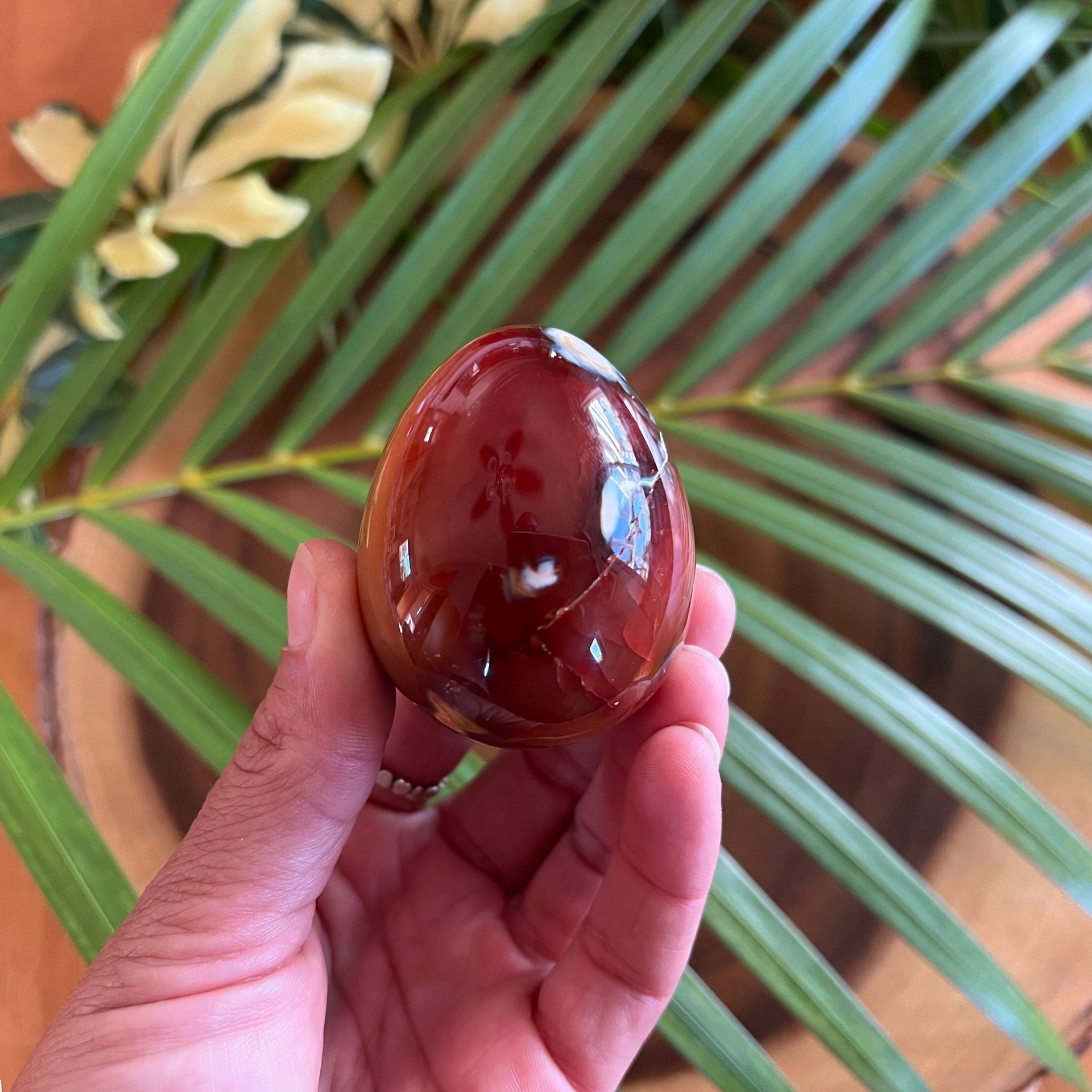 Carnelian Egg Rock