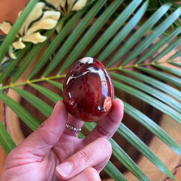Person Holding Healing Crystal Carnelian Egg